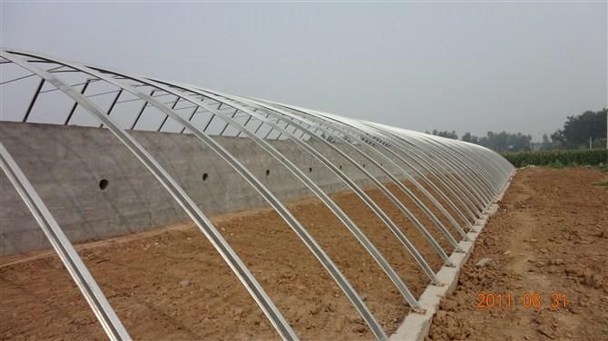 金昌大棚建設 金昌蔬菜大棚廠家